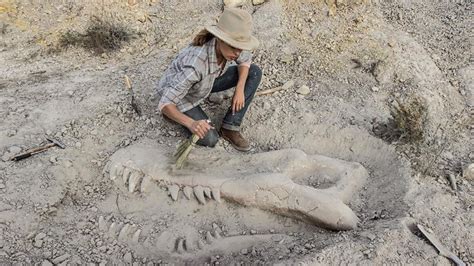 Dino Dig: 巨大な恐竜の骨格を組み立て、古代の世界を解明する冒険へ！