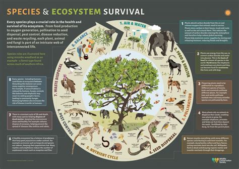  Ecosystem: あなたの街で、生き物を育てる壮大な冒険へ！